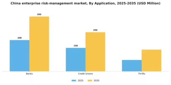 China Enterprise Risk Management Market Segment Image 0