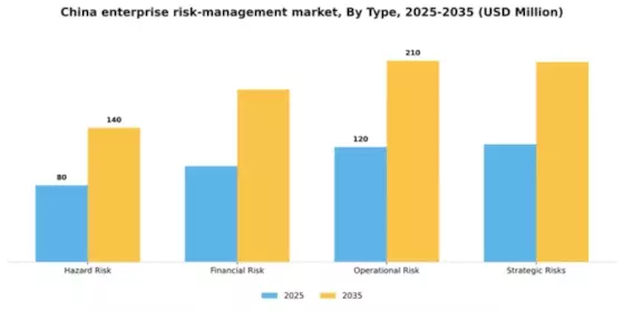 China Enterprise Risk Management Market Segment Image 1