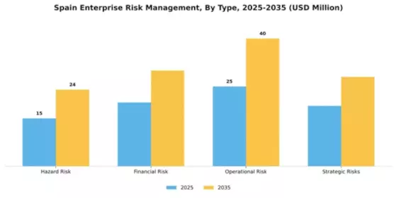 Spain Enterprise Risk Management Market Segment Image 1