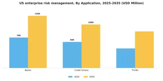 US Enterprise Risk Management Market  Segment Image 0