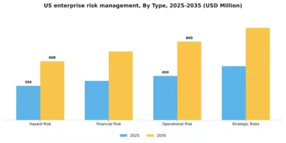 US Enterprise Risk Management Market  Segment Image 1