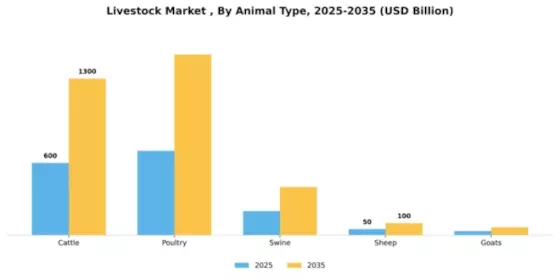 Livestock Market  Segment Image 0
