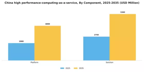 China High Performance Computing As A Service Market Segment Image 0