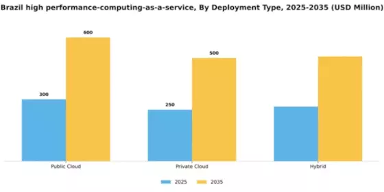 Brazil High Performance Computing As A Service Market Segment Image 1