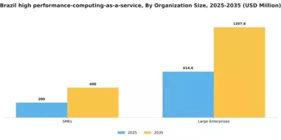 Brazil High Performance Computing As A Service Market Segment Image 2