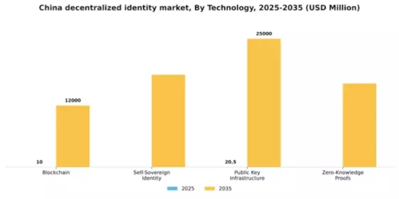 China Decentralized Identity Market Segment Image 3