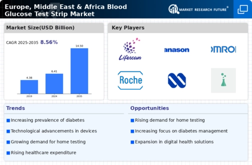 Europe Blood Glucose Test Strip Market Infographic