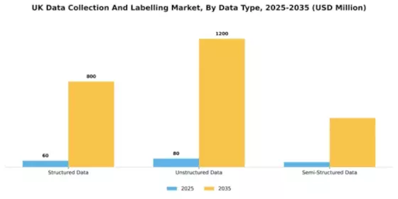 UK Data Collection Labelling Market Segment Image 2