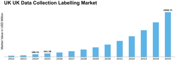 UK Data Collection Labelling Market Size