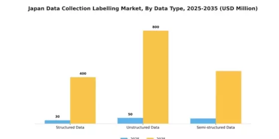 Japan Data Collection Labelling Market Segment Image 1