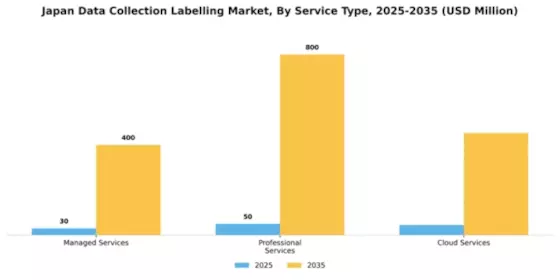 Japan Data Collection Labelling Market Segment Image 3