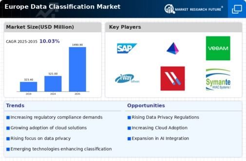 Europe Data Classification Market Infographic