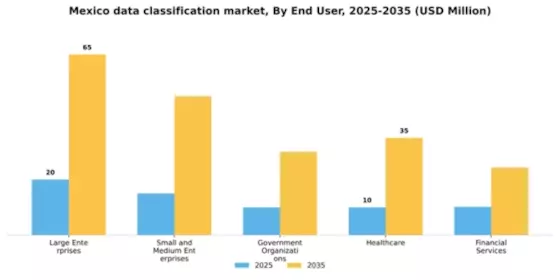Mexico Data Classification Market Segment Image 2
