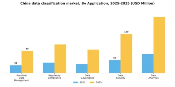 China Data Classification Market Segment Image 0