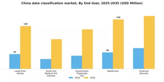China Data Classification Market Segment Image 2