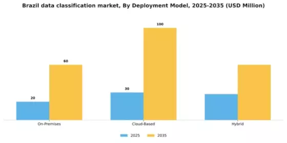 Brazil Data Classification Market Segment Image 1