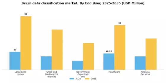 Brazil Data Classification Market Segment Image 2