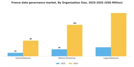 France Data Governance Market Segment Image 2