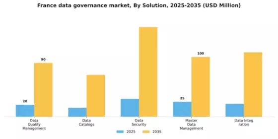 France Data Governance Market Segment Image 3