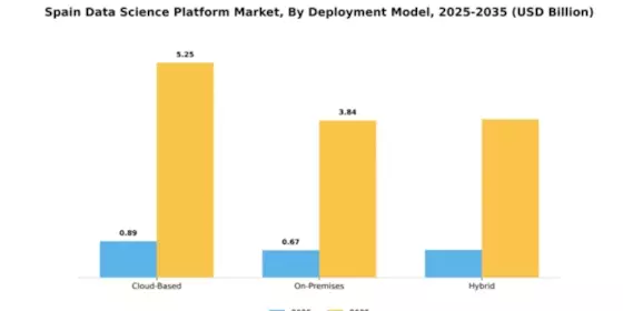 Spain Data Science Platform Market Segment Image 1
