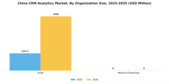 China Crm Analytics Market Segment Image 2