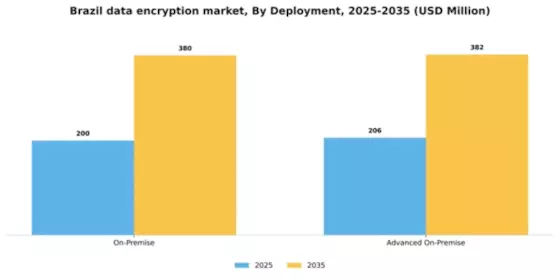 Brazil Data Encryption Market Segment Image 0