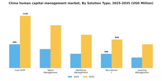 China Human Capital Management Market Segment Image 3