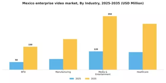 Mexico Enterprise Video Market Segment Image 3