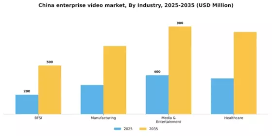 China Enterprise Video Market Segment Image 3