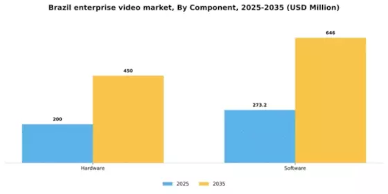 Brazil Enterprise Video Market Segment Image 1