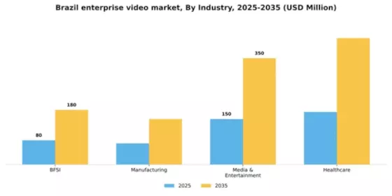 Brazil Enterprise Video Market Segment Image 3