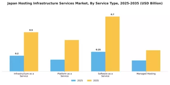 Japan Hosting Infrastructure Services Market Segment Image 3
