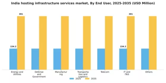 India Hosting Infrastructure Services Market Segment Image 1