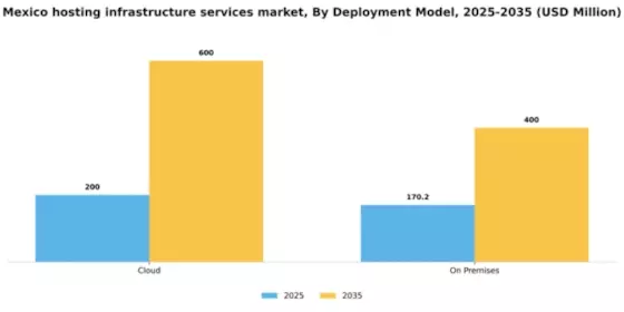 Mexico Hosting Infrastructure Services Market Segment Image 0