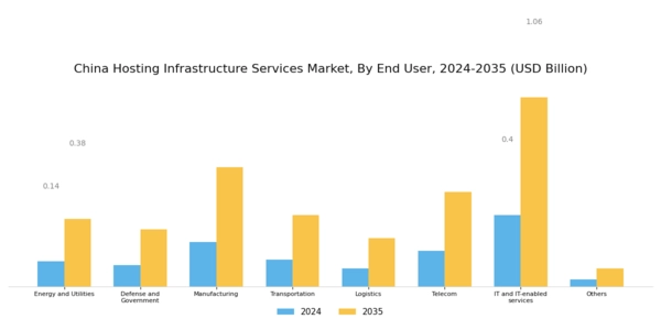 China Hosting Infrastructure Services Market Segment Image 2