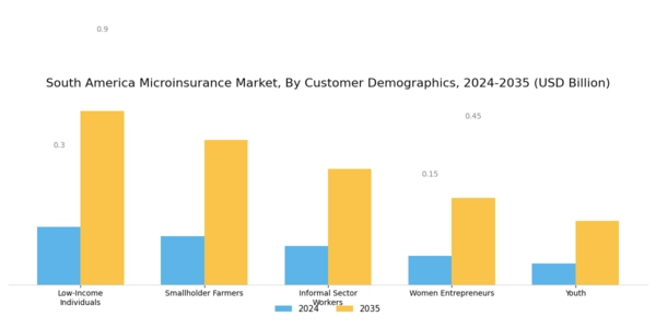 South America Microinsurance Market Segment Image 2