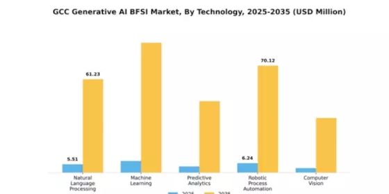 GCC Generative Ai Bfsi Market Segment Image 3