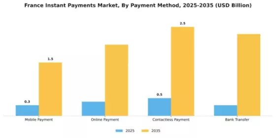 France Instant Payments Market Segment Image 0