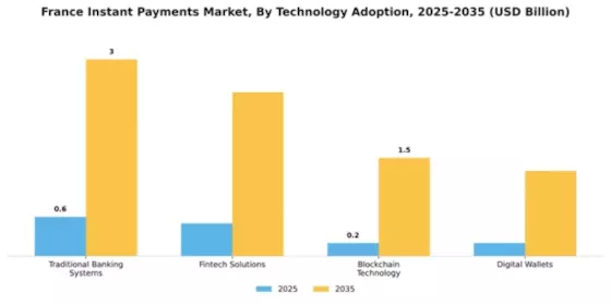 France Instant Payments Market Segment Image 1