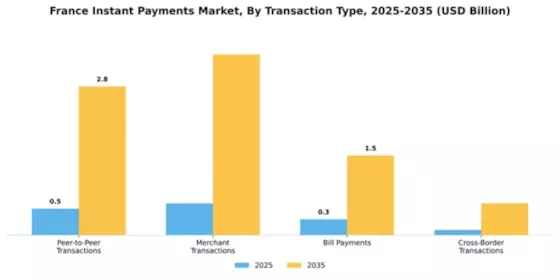 France Instant Payments Market Segment Image 2