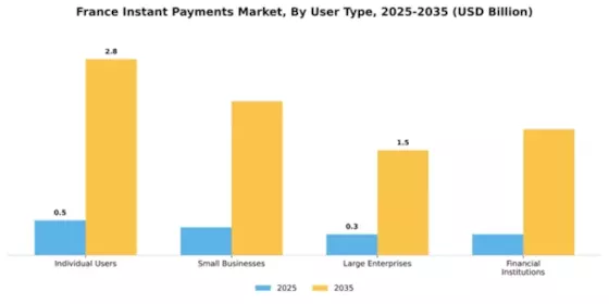 France Instant Payments Market Segment Image 3