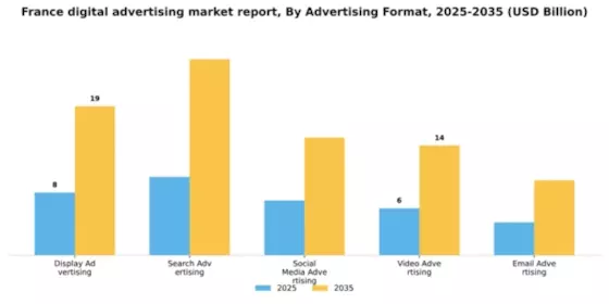 France Digital Advertising Market Segment Image 0