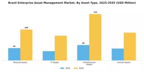 Brazil Enterprise Asset Management Market Segment Image 0