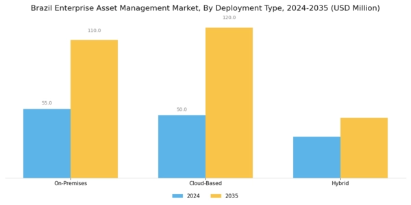 Brazil Enterprise Asset Management Market Segment Image 0
