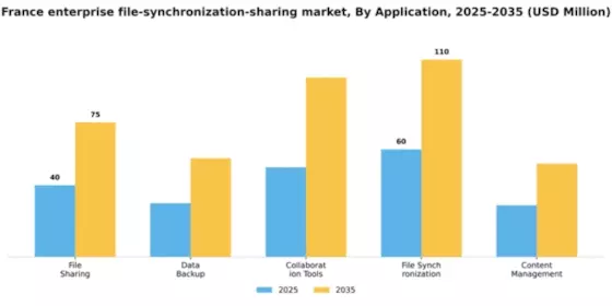France Enterprise File Synchronization Sharing Market Segment Image 0