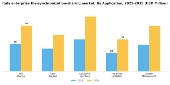 Italy Enterprise File Synchronization Sharing Market Segment Image 0