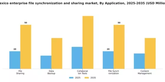 Mexico Enterprise File Synchronization Sharing Market Segment Image 0