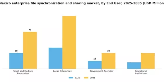 Mexico Enterprise File Synchronization Sharing Market Segment Image 2