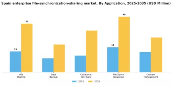 Spain Enterprise File Synchronization Sharing Market Segment Image 0