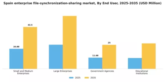 Spain Enterprise File Synchronization Sharing Market Segment Image 2